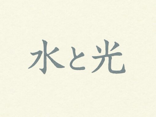 水と光
