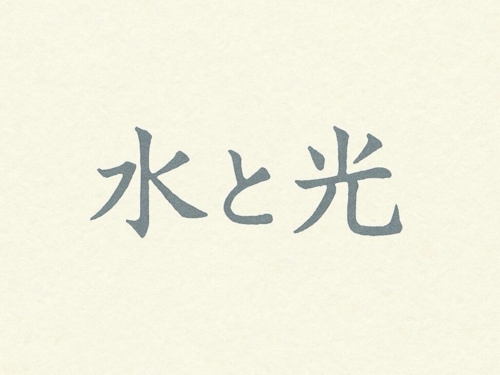 水と光